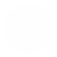 Logo do cliente Fernando Francisco